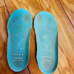 15cm EE アナ雪 ムーンスター スニーカー靴の画像
