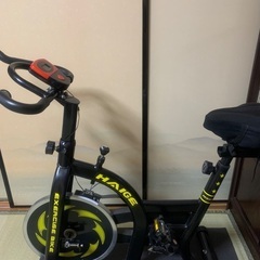 ハイガー　スピンバイクの画像