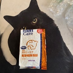 腎臓病猫用療法食
