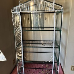 決まりました。植物 室内 ラック