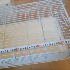 動物ゲージの画像