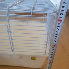 動物ゲージの画像