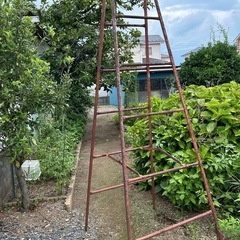 【引き取り限定】鉄の脚立　2.6m