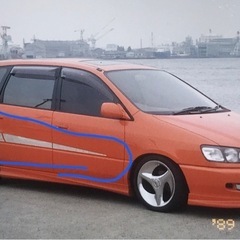 DIMOS SPORT ボディーパネル左右