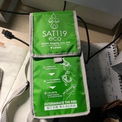 sat119