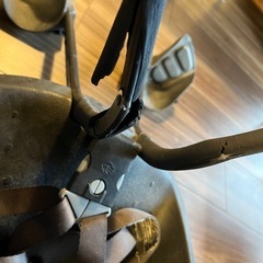 Thule Yepp mini イエップミニ 自転車チャイルドシート の画像