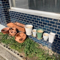 植木鉢　プランター