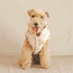 gelato pique ジェラートピケ ペット ダウン XXL 犬用服の画像