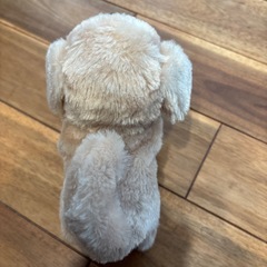 動くワンちゃんの画像