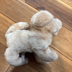 動くワンちゃんの画像
