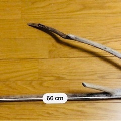流木　2本セット　アクアリウム　DIY 等にの画像