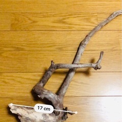 流木　2本セット　アクアリウム　DIY 等にの画像