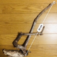 流木　2本セット　アクアリウム　DIY 等にの画像