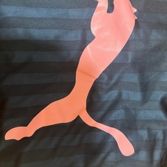 PUMAジャージ上下セット(ピンク色)の画像
