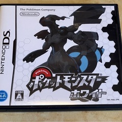 DS ポケットモンスター　ケースのみ