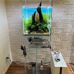 ADA 30cmキューブ水槽　フルセット