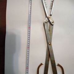  鱧ハサミ 45cm