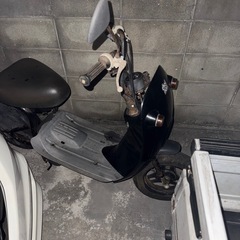 本日限定！！チョイノリ