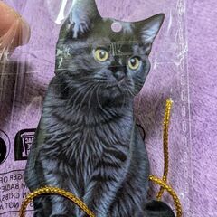 大きめ/黒猫アクリルキーホルダー（新品）の画像