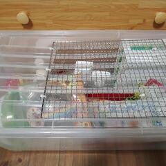 ハムスター　飼育セット一式