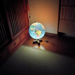 ✨地球儀⭐の画像