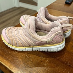 NIKE ナイキキッズ　ダイナモフリー　21cm　
