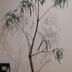 ランキングキーワードに紐づく投稿画像-観葉植物