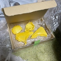アイシス　ヘッドライト加工用にの画像
