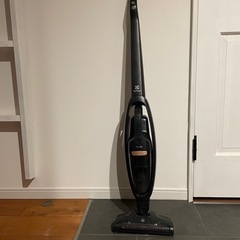 エレクトロラックス 掃除機 コードレス スティック Well Q6 (nt
