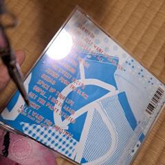 ゼブラヘッド　CDの画像