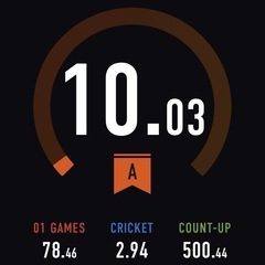 【ダーツ一式】GRANBOARD3 + blitzer + ダーツ2セットの画像