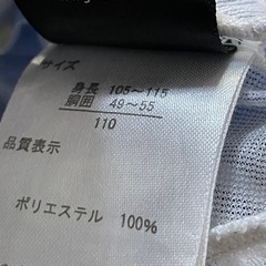 110 水着 男の子 ミニオンの画像