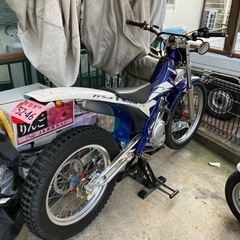 トライアルバイク04スコルパTYS125Fの画像