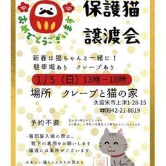 保護猫譲渡会1/5(日)