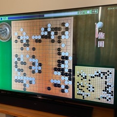 SONY BRAVIA ジャンクの画像