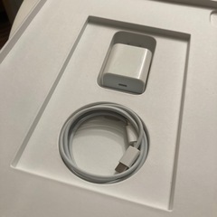 Apple pencil+iPad Pro 第5世代 12.9 Wi-Fi+Cellular 256GBの画像