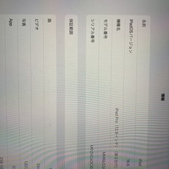 Apple pencil+iPad Pro 第5世代 12.9 Wi-Fi+Cellular 256GBの画像