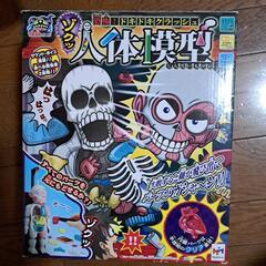 ドキドキクラッシュ　人体模型　おもちゃ