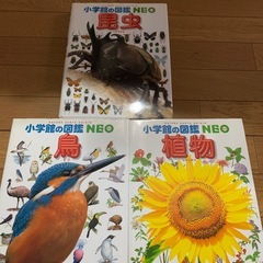 図鑑
