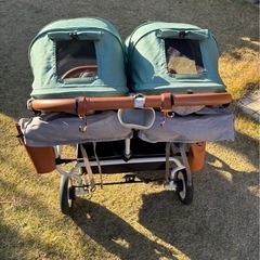 エアバギーココダブル