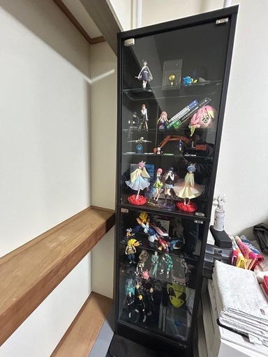 コレクションラック