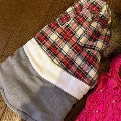 犬服の画像
