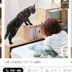 LOWYA  キャットウォーク付き壁面収納　シェルフ　木製　ロウヤの画像