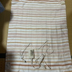 「決めました」美品電気毛布