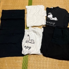 マタニティ　L Tシャツ