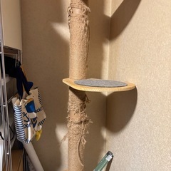 RAKU キャットタワー 突っ張り 木登りタワー シングル 猫タワー 省スペース スリム 爪とぎ 麻紐 ネコ タワーキャットツリーの画像