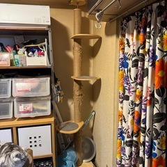 RAKU キャットタワー 突っ張り 木登りタワー シングル 猫タ...