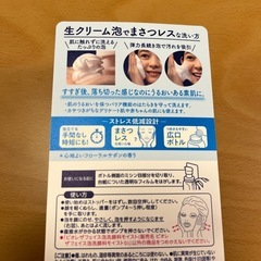 泡洗顔料 the face 200ml ビオレ Biore 混合肌用の画像