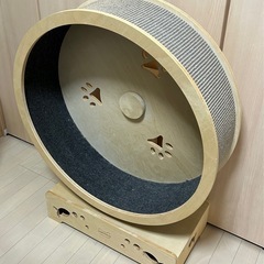 キャットウォール【猫ちゃんが回る！！】の画像