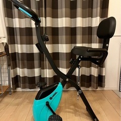 エアロバイク HAIGE